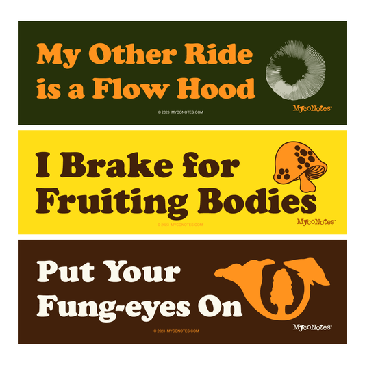 Set of 3 Fun Mushroom Bumper Stickers