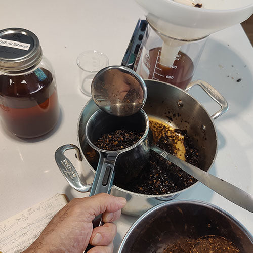 How to Make a Mushroom Extract