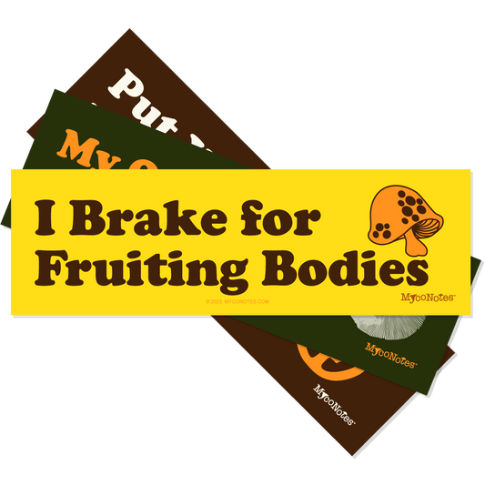 Set of 3 Fun Mushroom Bumper Stickers