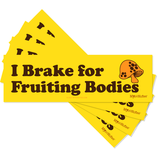 Fun Mushroom Bumper Sticker: I Brake for Fruiting Bodies