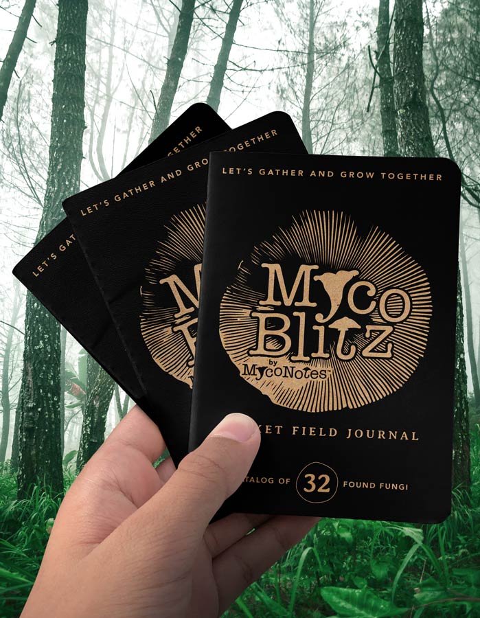 Myco Blitz Pocket Field Journal 3-Pack