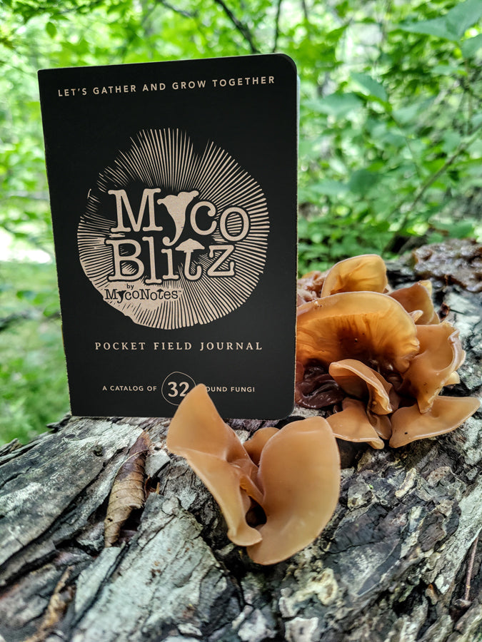 Myco Blitz pocket field journal on a tree stump with fungi in the background